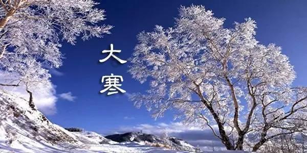 蜘蛛森林逃生