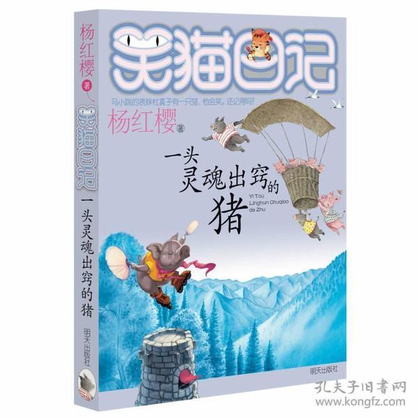 逃离违建房屋4