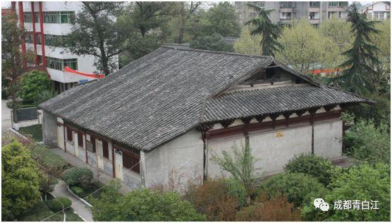 吃鸡蛋可以吃橙子吗游戏画面