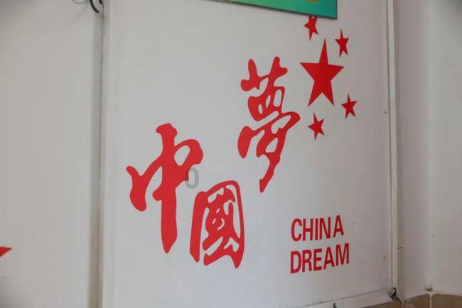 动物帮帮忙保卫家园