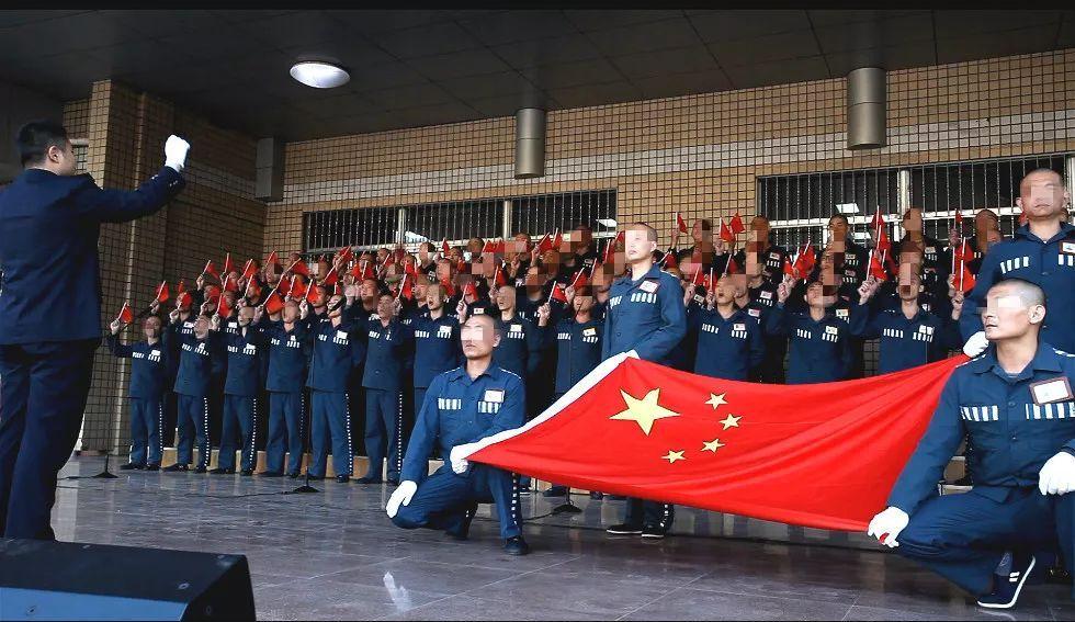 可爱啄木鸟逃脱