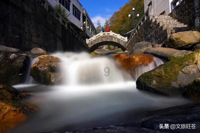 小猫钓鱼游戏龙王版有船