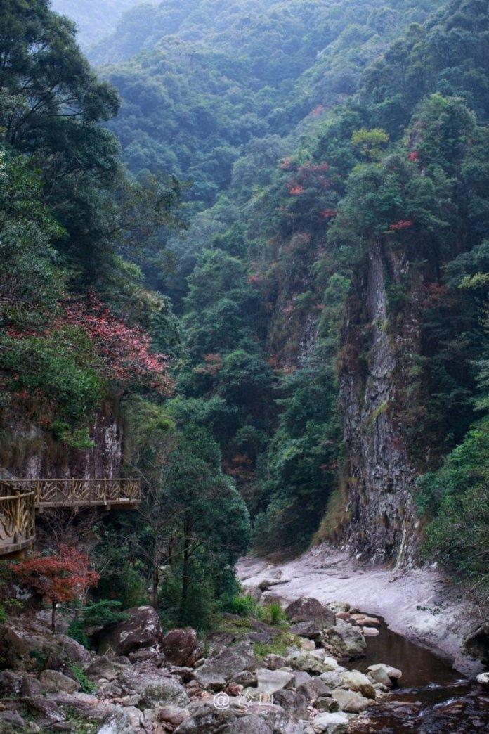 探索知识星球平台,精选山东援威海医学检验专家白晓卉不幸去世,年仅42岁,她究竟是因何去世的?内容