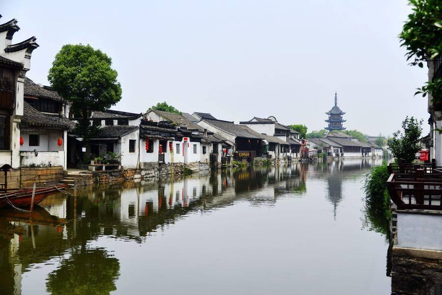 侍忍者